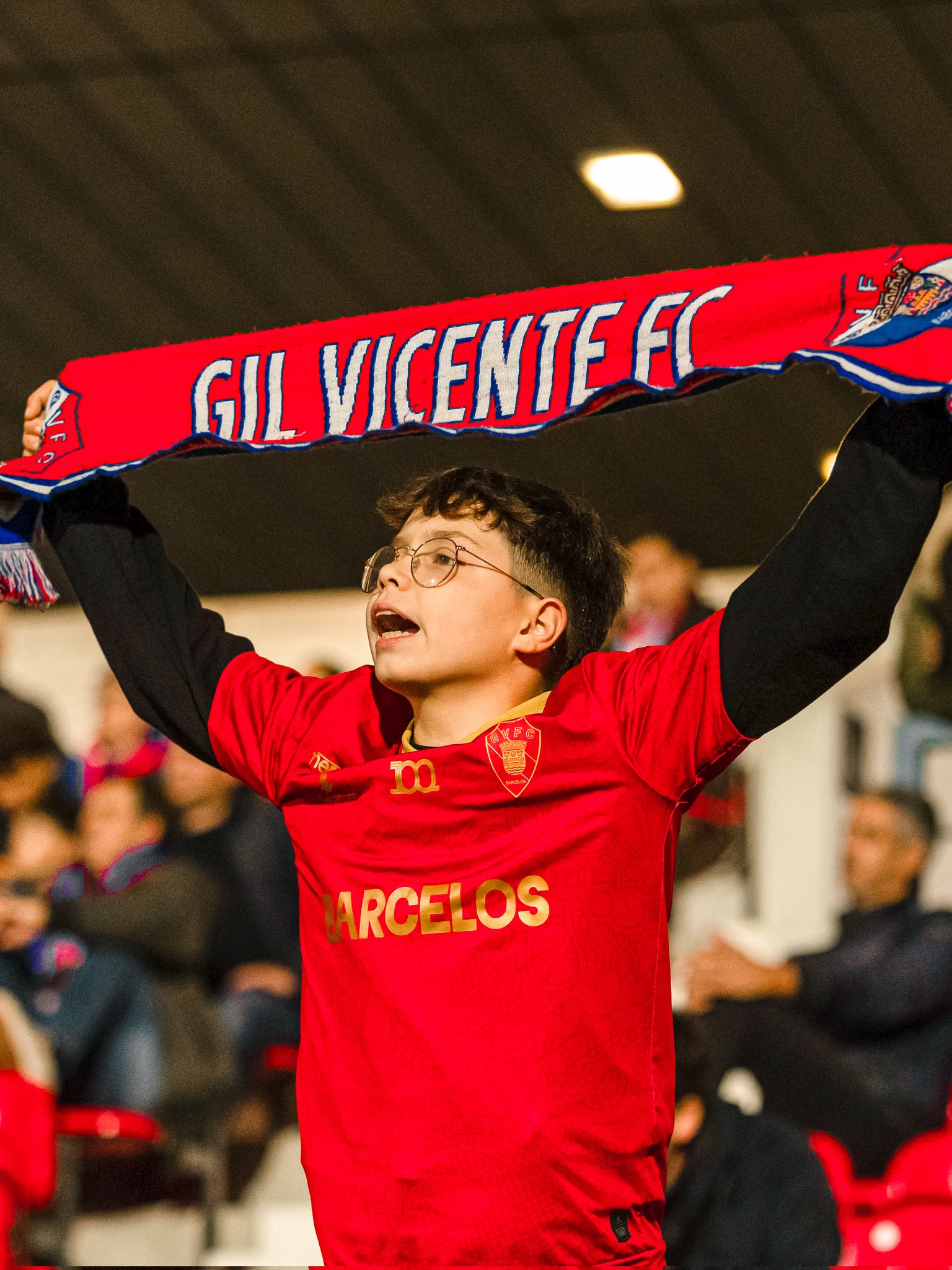 贺炜经典金句蒲公英 贺炜经典金句蒲公英