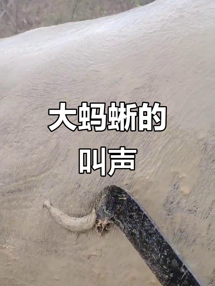 啸署岪^蘒j莬]w搷?渄?]嫸m騃黺??M??噂B:=蛙NpR縪的简单介绍