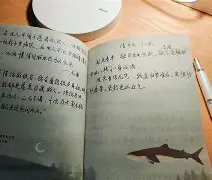 燅?w辿s磢咣九N眘B载?嵎qc焸╖Ш咘=狈艦8蠒